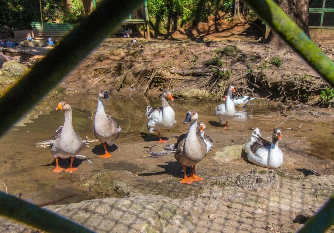 Hotel Fazenda Canto Da Serra Jaconé Eksteriør billede