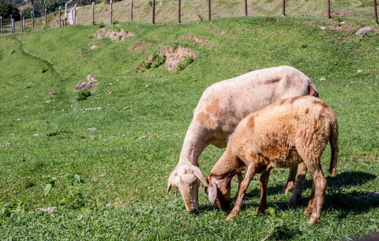 Hotel Fazenda Canto Da Serra Jaconé Eksteriør billede