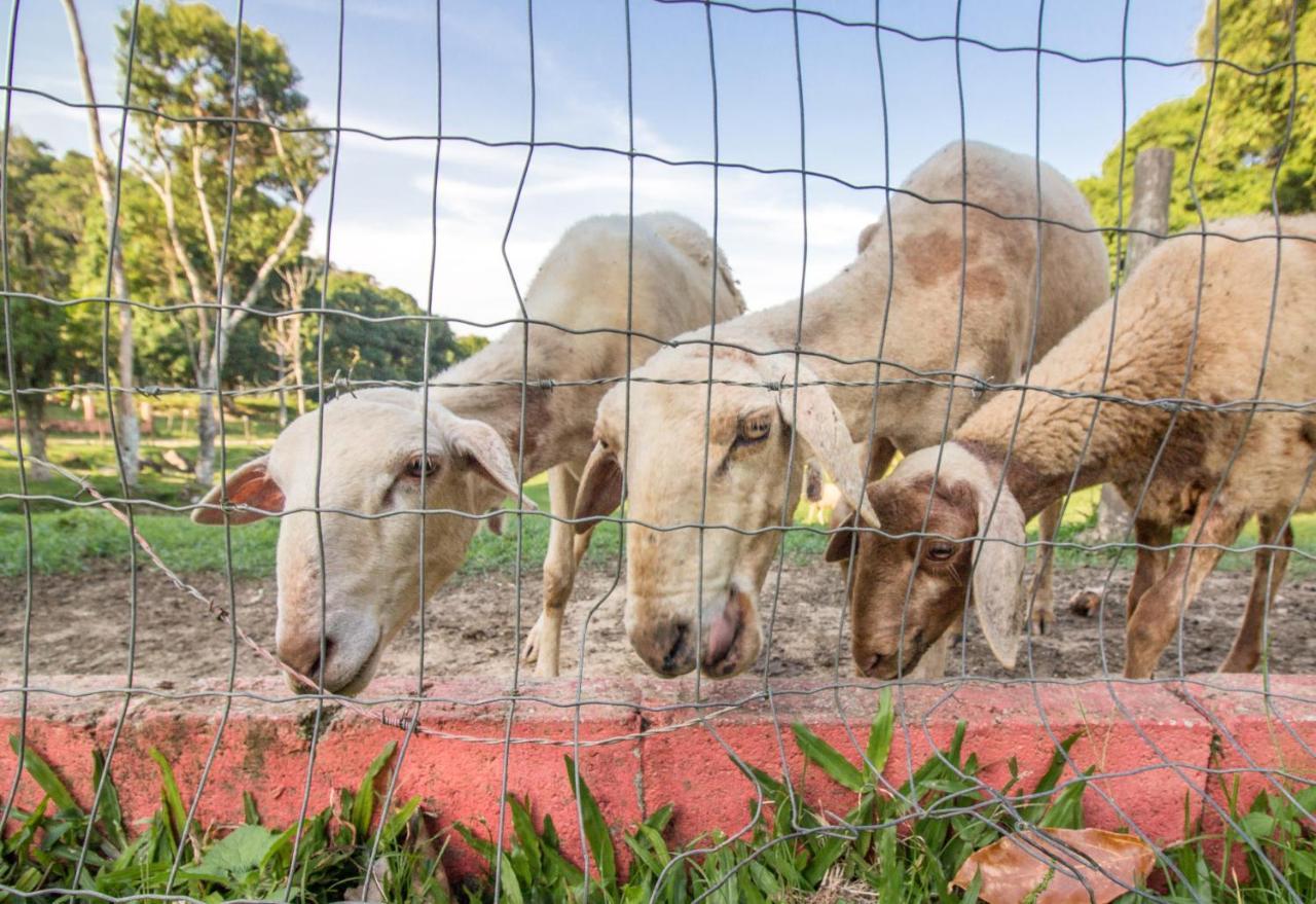 Hotel Fazenda Canto Da Serra Jaconé Eksteriør billede