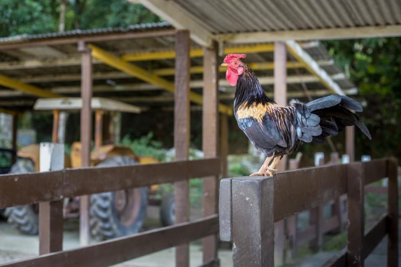Hotel Fazenda Canto Da Serra Jaconé Eksteriør billede